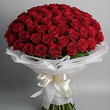 Букет 101 Красная роза Блэк Мэджик в Котласе