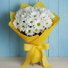 Букет цветов из:  Хризантемы в Котласе