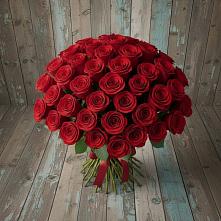 Букет 55 Красных роз Фридом #REPLACE_PRED# Котласе