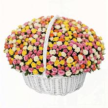 Премиум букет из: Розы в Котласе