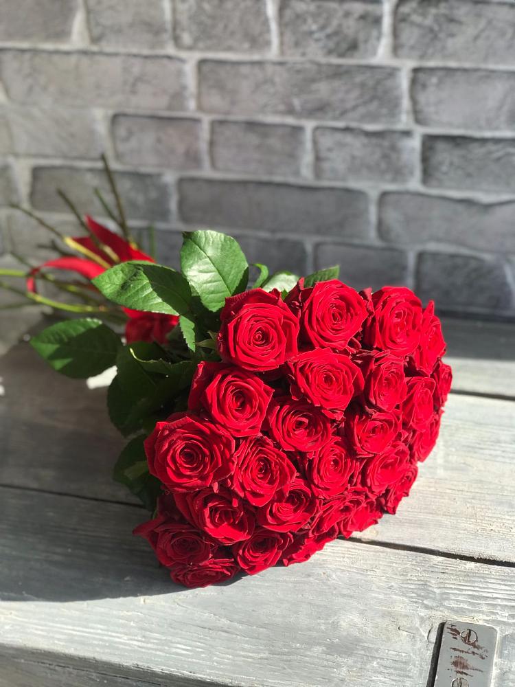 Букет Красные розы Фридом в Котласе