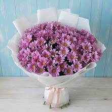 Букет цветов из:  Хризантемы в Котласе