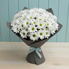 Букет цветов из:  Хризантемы в Котласе