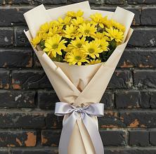 Букет цветов из:  Хризантемы в Котласе