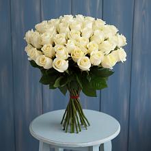 Букет 51 Белая роза Эдлесс Лав в Котласе