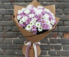 Букет цветов из:  Хризантемы в Котласе