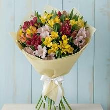 Букет цветов из:  Альстромерии в Котласе