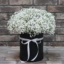 Цветочная композиция из Гипсофила в шляпной коробке в Котласе