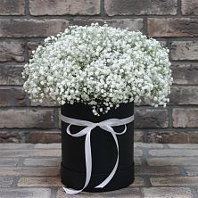 Цветочная композиция из Гипсофила в шляпной коробке в Котласе