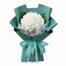Букет цветов из:  Гортензия в Котласе